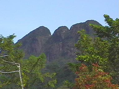 Victoria Peak, highest point of Belize