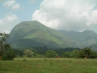 Mount Nimba, highest point of Cote d'Ivoire