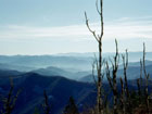 Clingmans Dome, highest Point of Tennessee