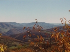Spuce Knob, highest mountain of West Virginia