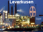 Pictures of Leverkusen