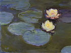 LACMA (Monet Waterlilly Collection)