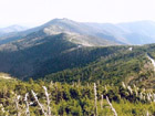 Mount Mitchell, highest Mountain of North Carolina